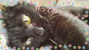 16-12-02-12-57-46-486_deco